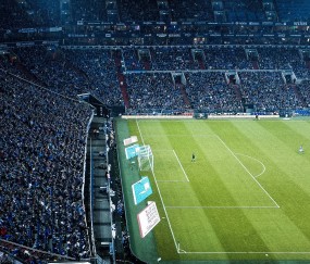 新手入门指南：宝威体育官网（实测）